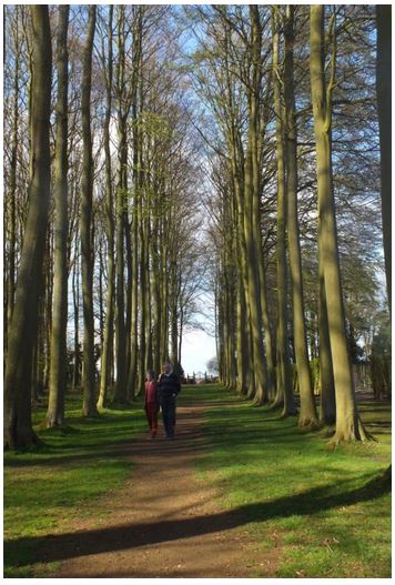 a long avenue, showing a glimpse of a gate and the horizon beyond it